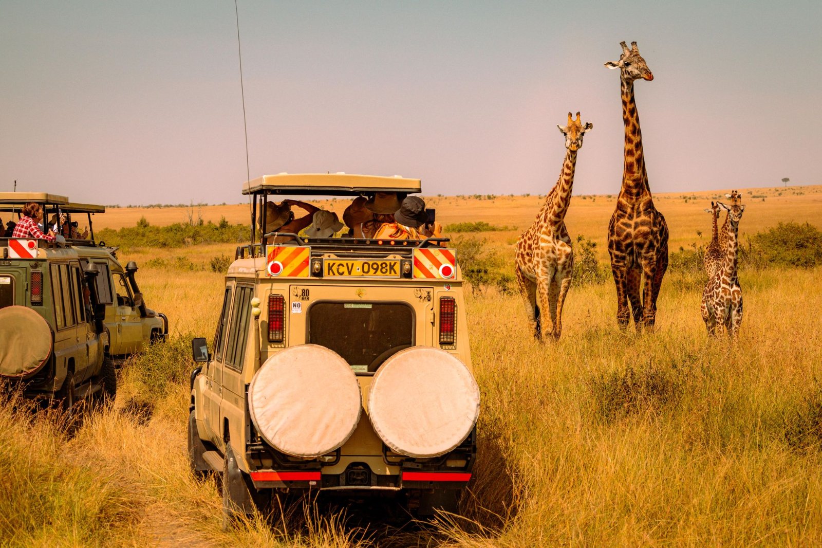 On safari, Kenya